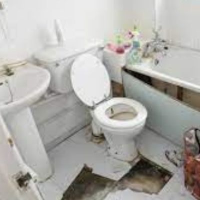 Sanitation